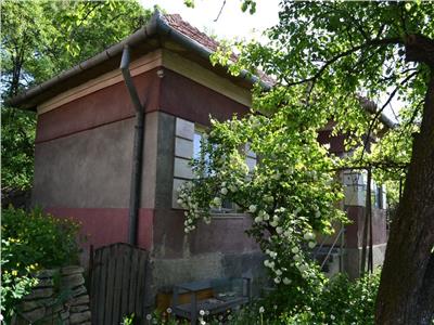 Casa cu teren zona Lidl